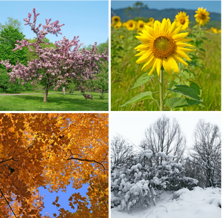 Seasonal moods