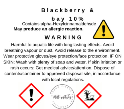 Bay Watch (Blackberry Bay)