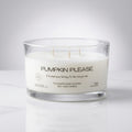 Pumpkin please - 3 wick candle