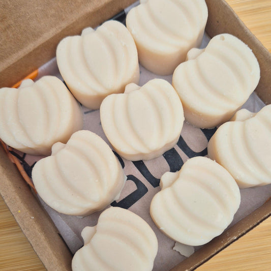 Pumpkin Posse — Box of 9 Pumpkin-Shaped Wax Melts