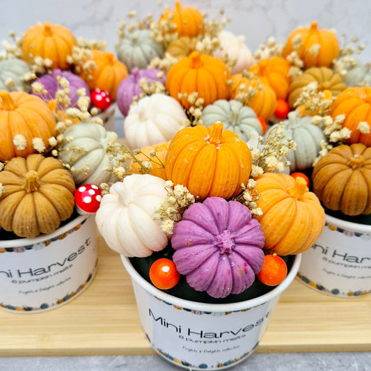 Mini Harvest — Wax Melt Bouquet